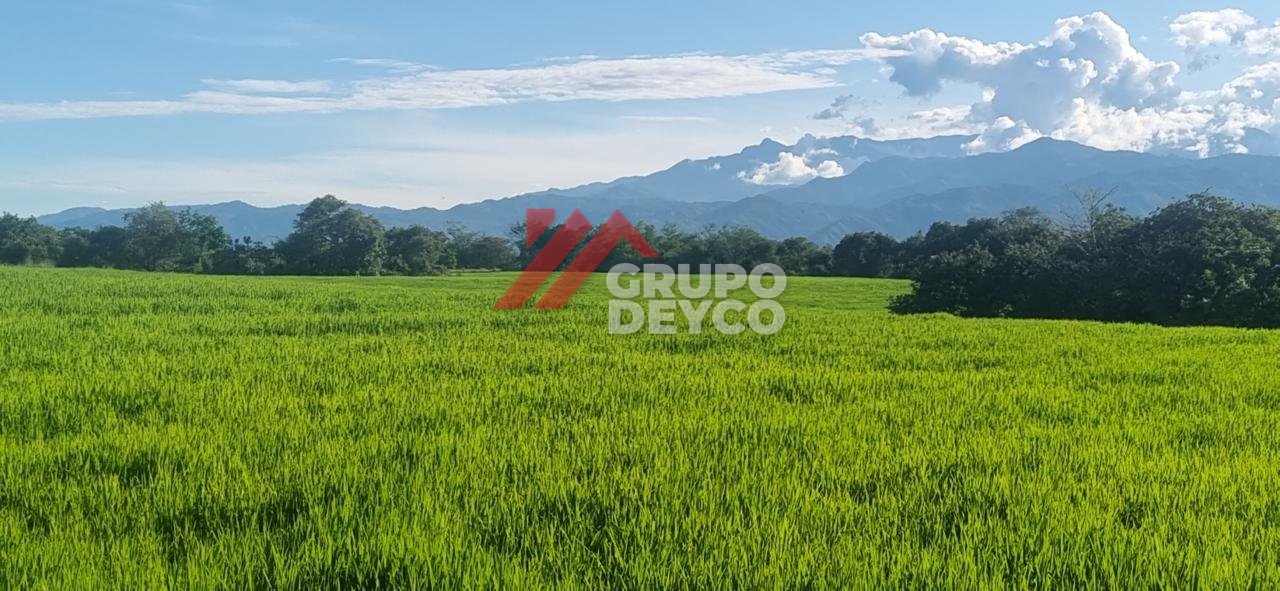 Lote de 24 hectáreas en Lérida, Tolima