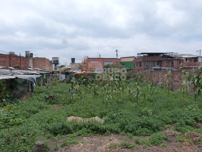 Lote en venta - Chia, Cundinamarca